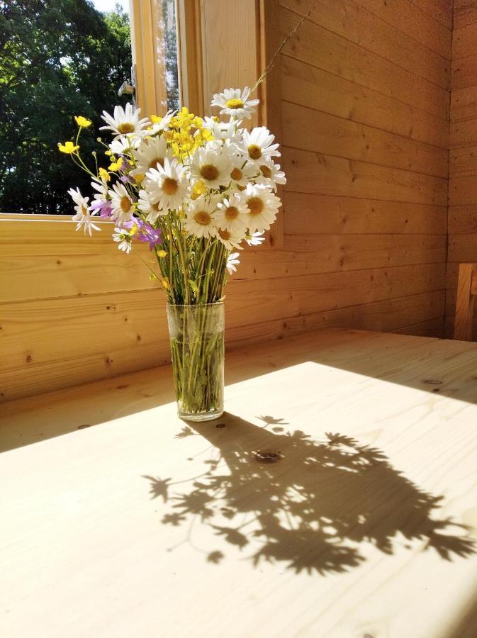 Villa Celoroční GLAMPING v pohodlném domečku Výprachtice Esterno foto